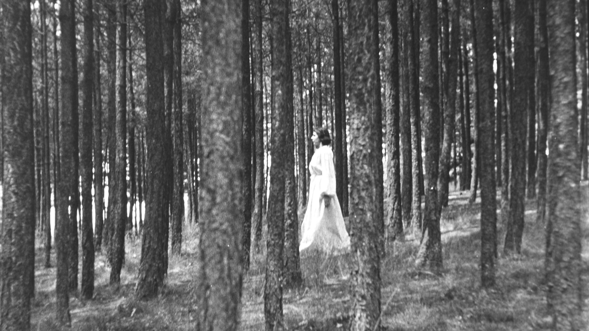 Kısa Film Seçkisi - 1 görsel 8